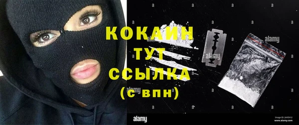 мяу мяу мука Белокуриха