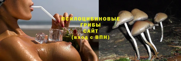 мяу мяу мука Белокуриха