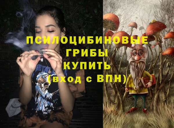 мяу мяу мука Белокуриха