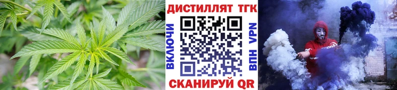 ТГК Wax  где купить   Кохма 